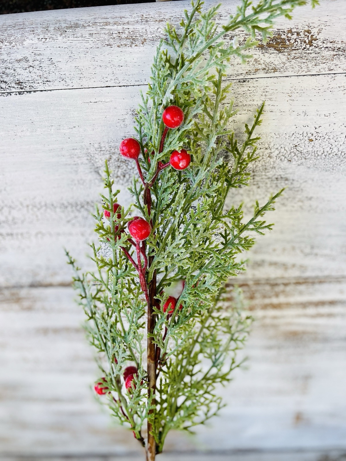 Snowy Cedar & Sugar Berry Spray