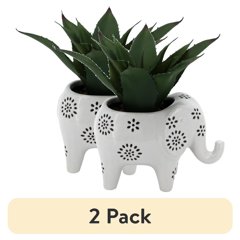 Artificial Agave Plant in Ceramic Planter 7.5 Inch Set of 2 Faux Succulent Home