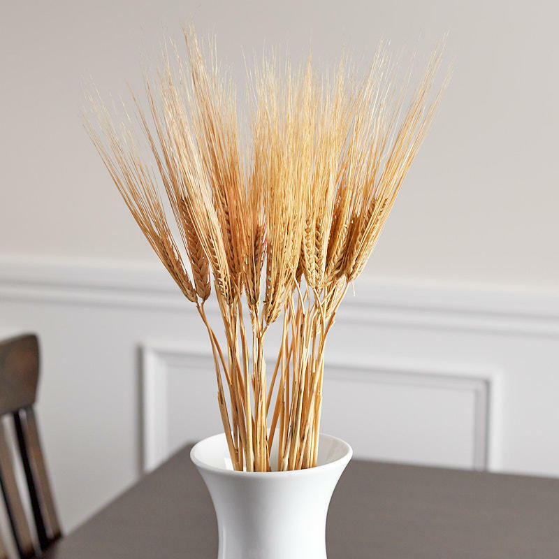 Factory Direct Craft Natural Dried Wheat Bundle | 2 Pieces