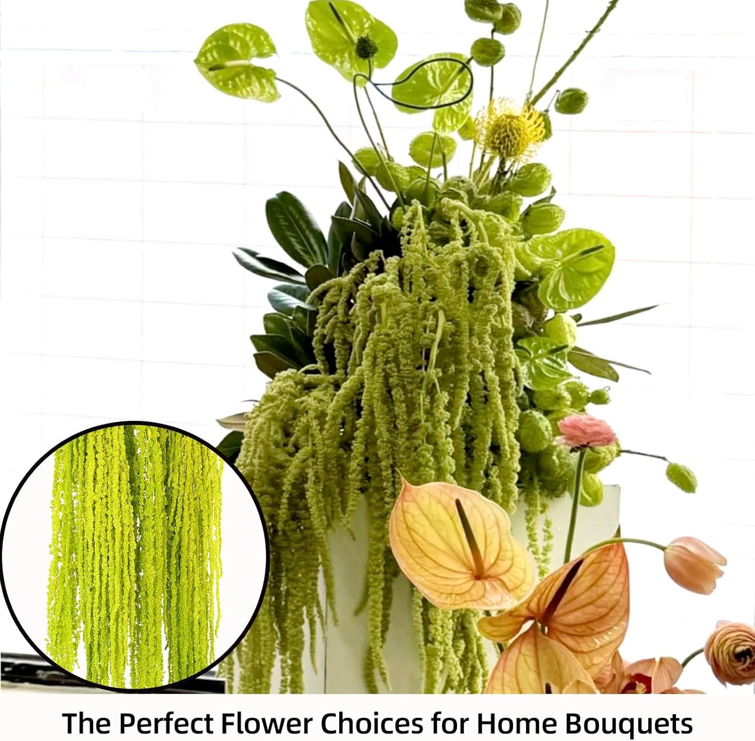 5 PCS Dried Amaranthus Hanging Flowers Natural Preserved Chartreuse 24 Inch