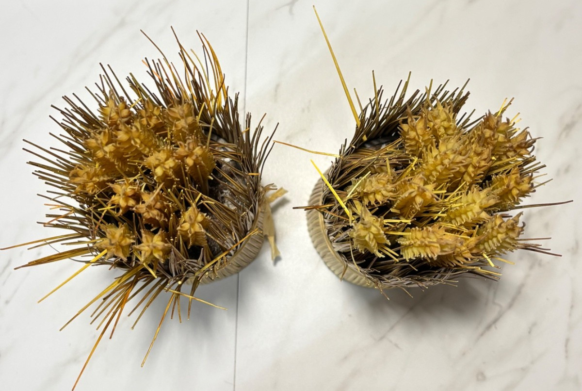 Set of 2 Elements Artificial Wheat Bundles 12” Fall Harvest Table Decor