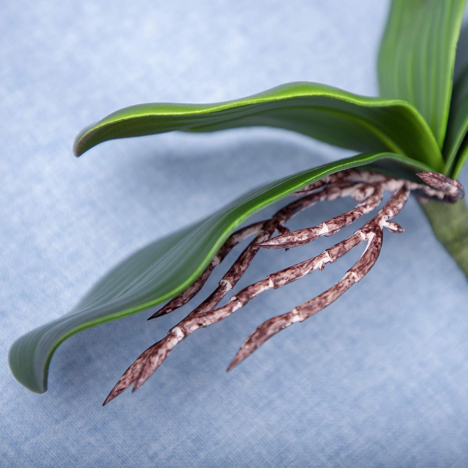 Orchid Leaves Artificial Phalaenopsis Stems Leaf Real Touch 8″ 2Pcs | Faux Cymbi