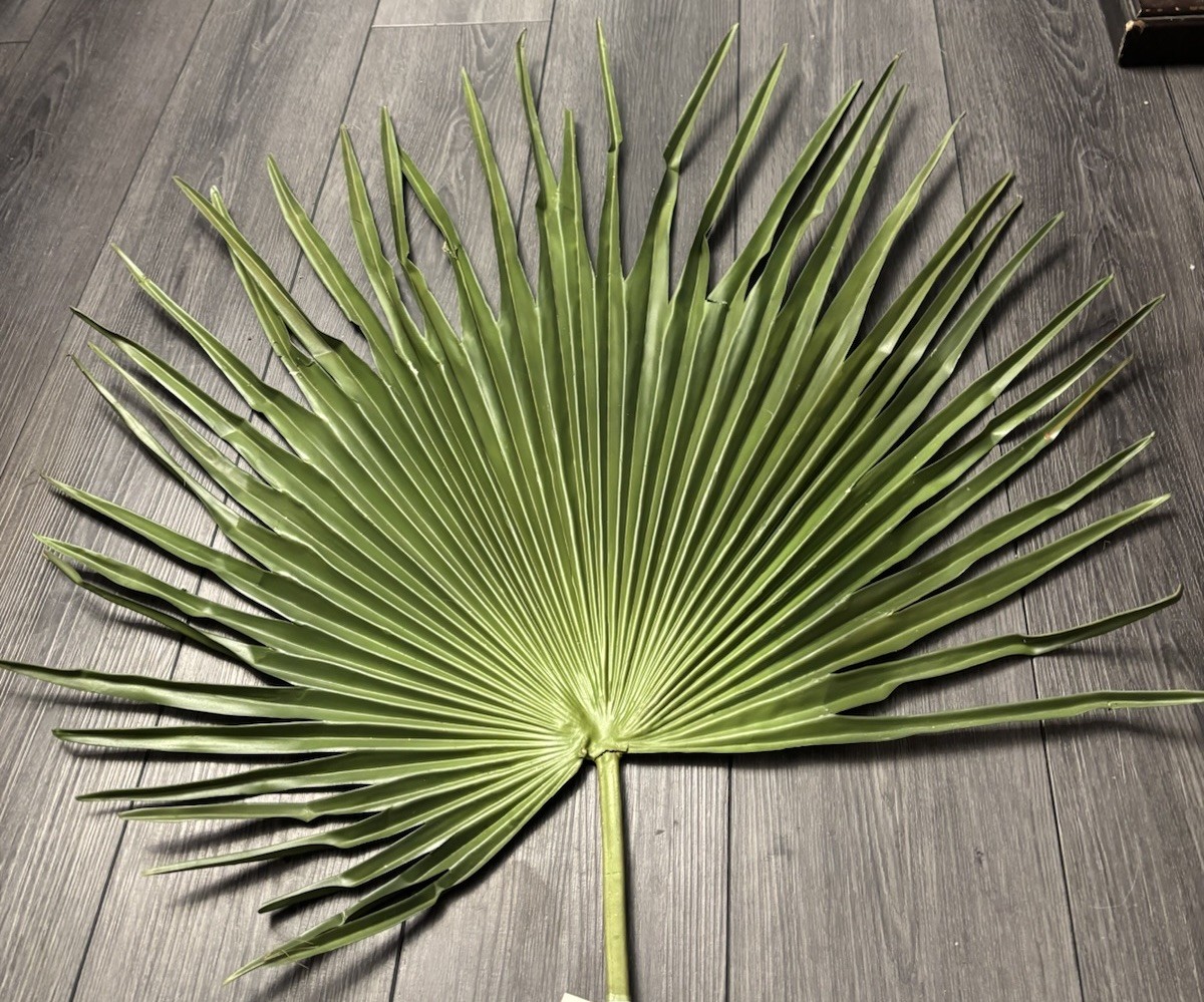 Large Fan Palm Leaf Stem 58” Tropical Boho Coastal Wedding Home Decor Prop