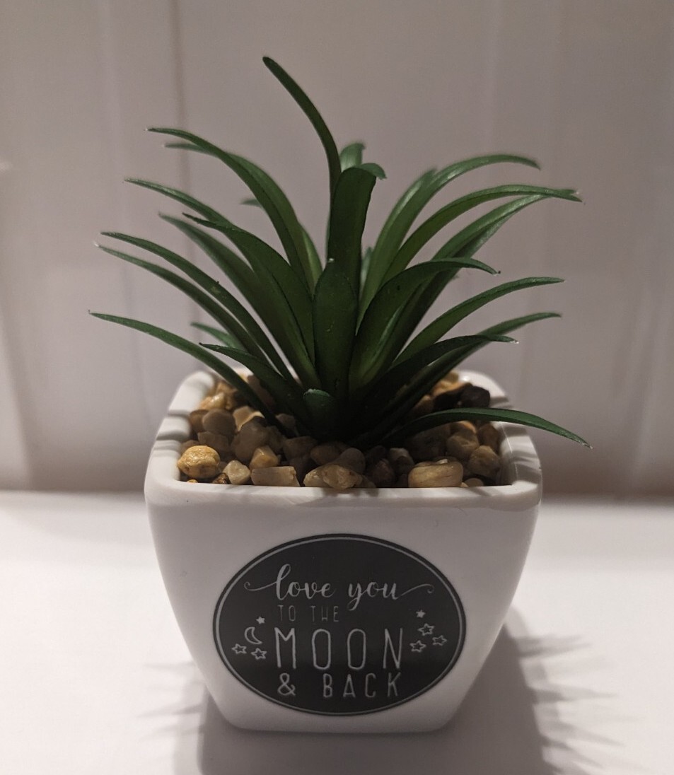 Desk-Plant Trinket Keepsake w Message ‘Love You To Moon And Back’