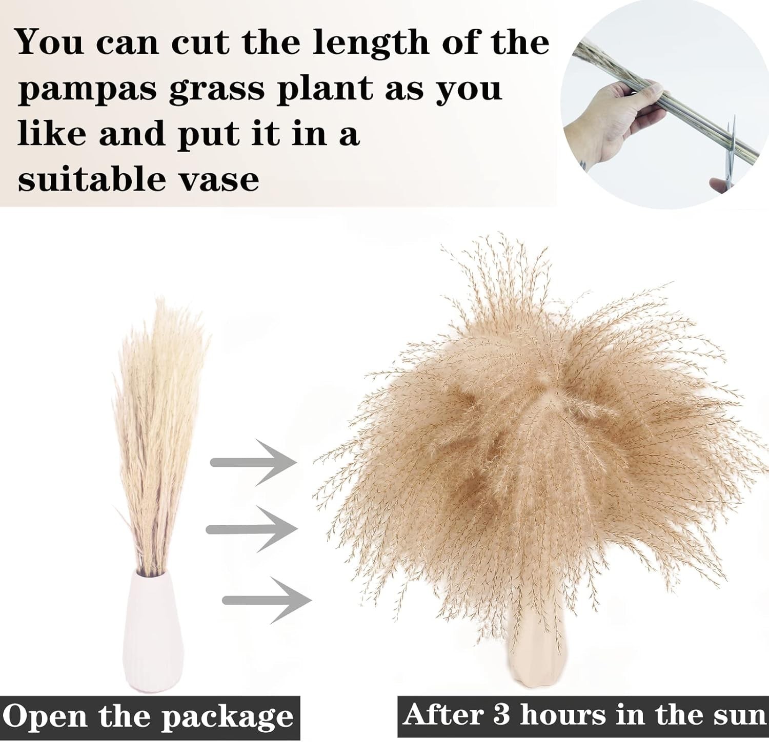 Natural Dried Pampas Grass Arrangement – Includes Bunny Tails, Gift-Ready Decor