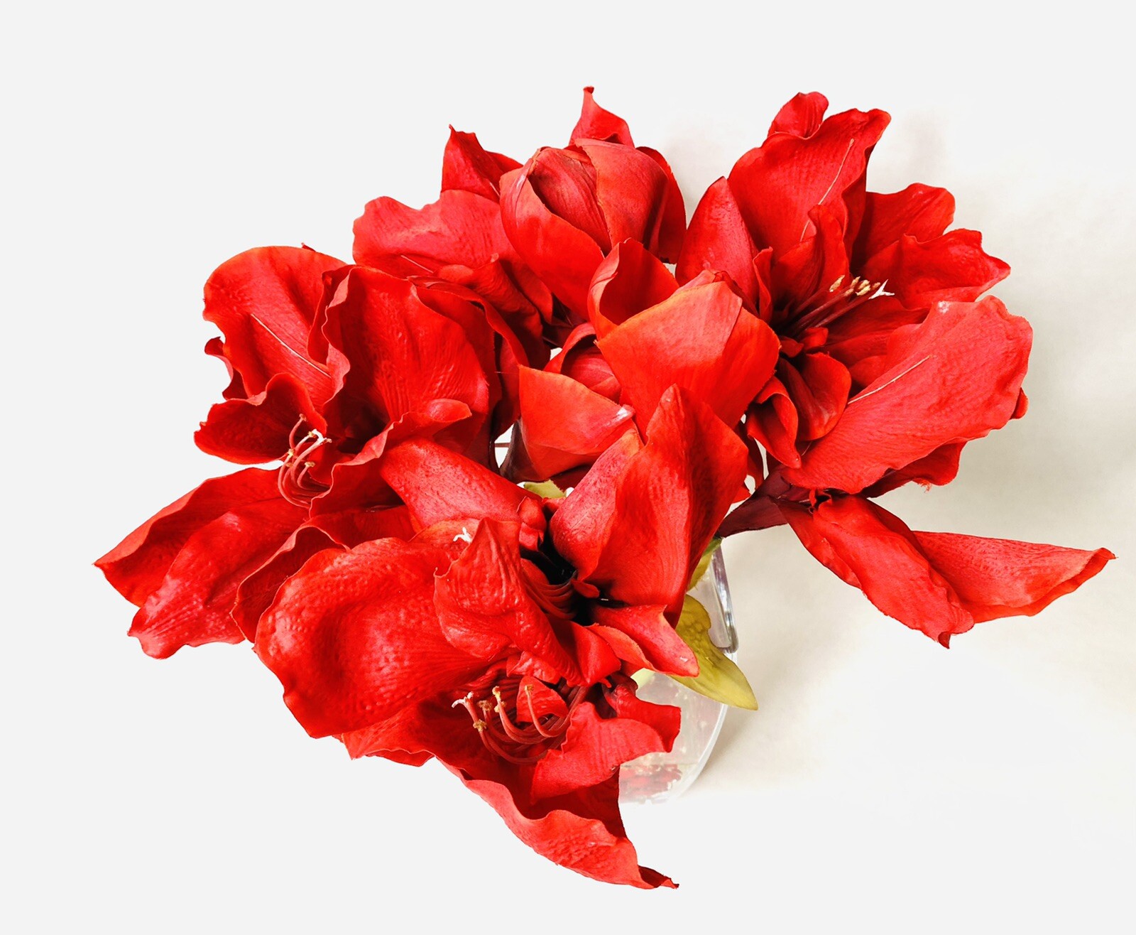 Red Amaryllis Artificial Flower Arrangement Square Glass Vase Water 15” Tall