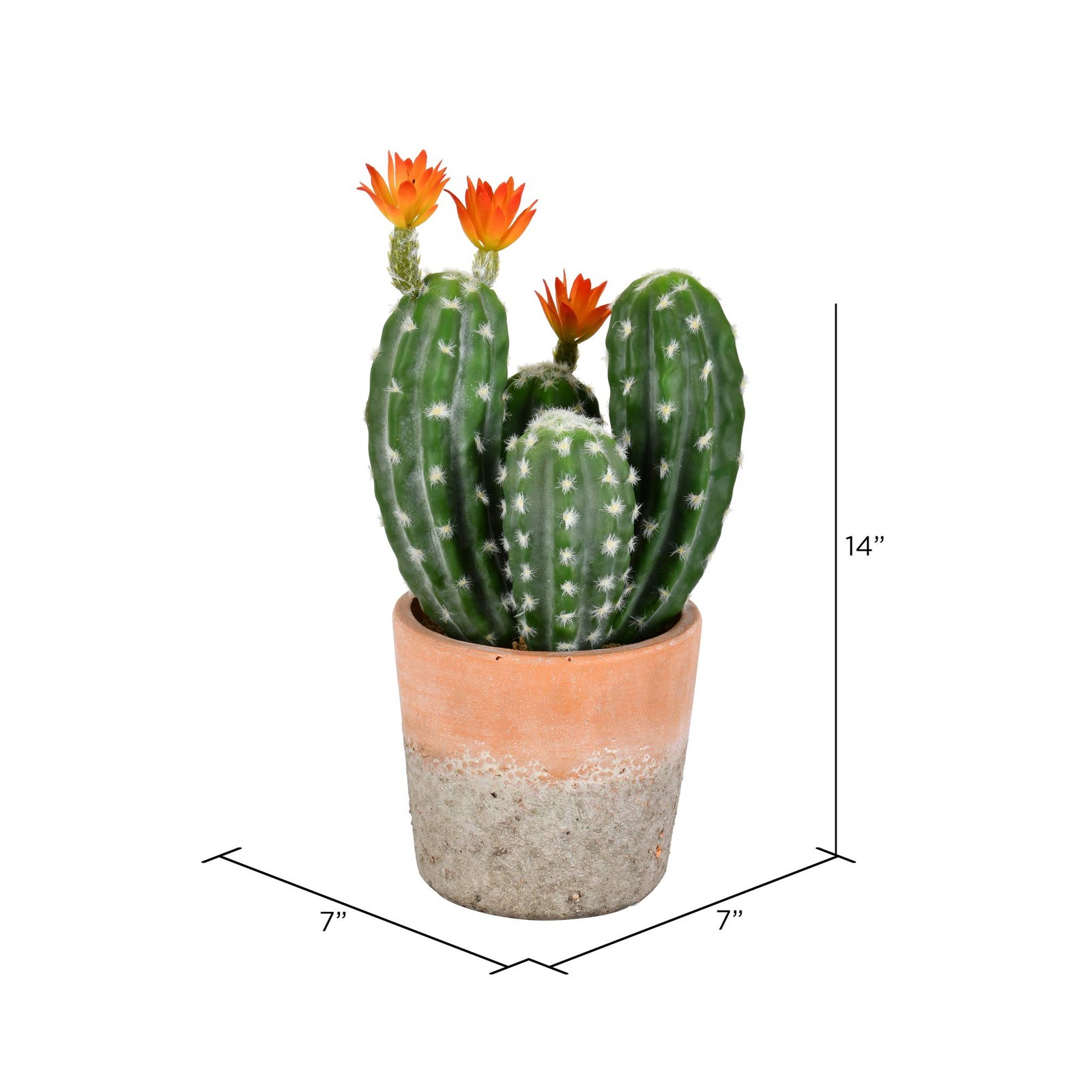 Vickerman 14″ Contemporary Plastic Artificial Cactus with Clay Pot in Green