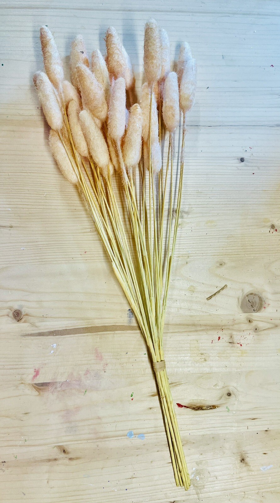 Bunny Tails Spring Or Fall Bouquet NEW