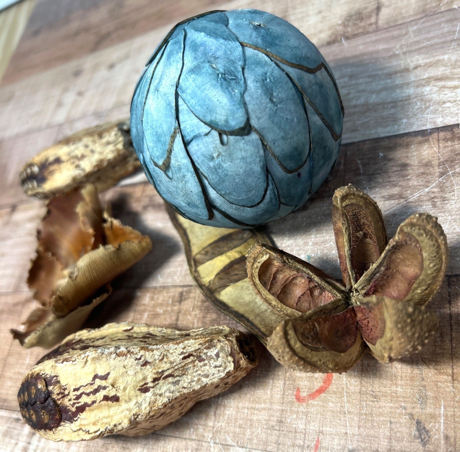 Decorative Natural Pods & Blue Textured Sphere Rustic Accent Pieces