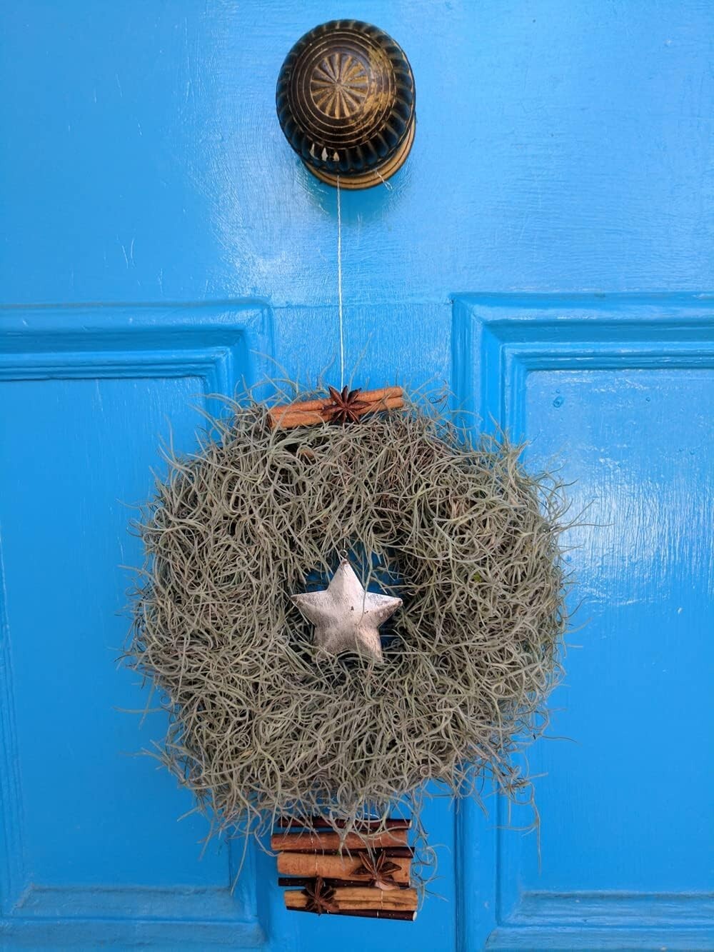 Natural Spanish Moss – 250 Cubic Inches for Terrarium and Flower Pot Elegance