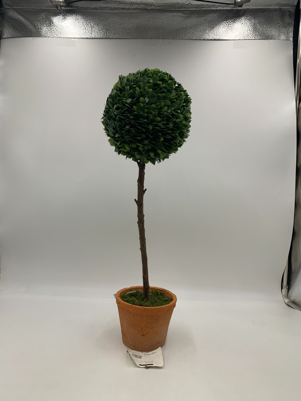 Pottery Barn Faux Potted Boxwood Ball Topiaries Green Medium #S9017