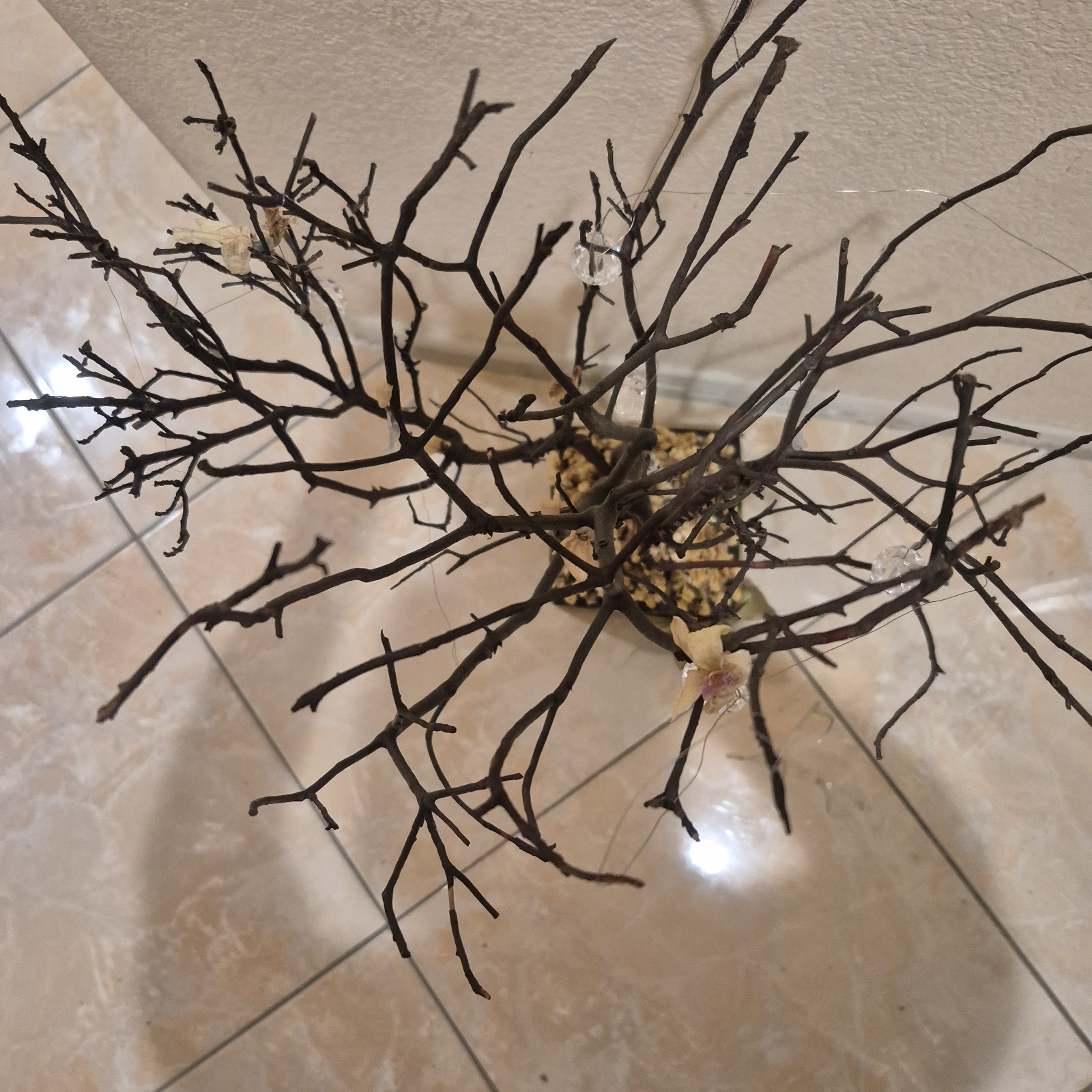 Manzanita Branch Tree Brown Stem Flower Decorative Crystal 18 Inch Centerpiece