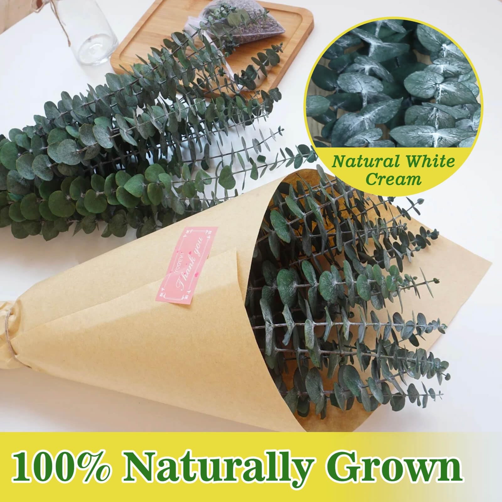 Tallo de eucalipto seco natural para decoración ducha y baño 43 cm (17 pulgadas)