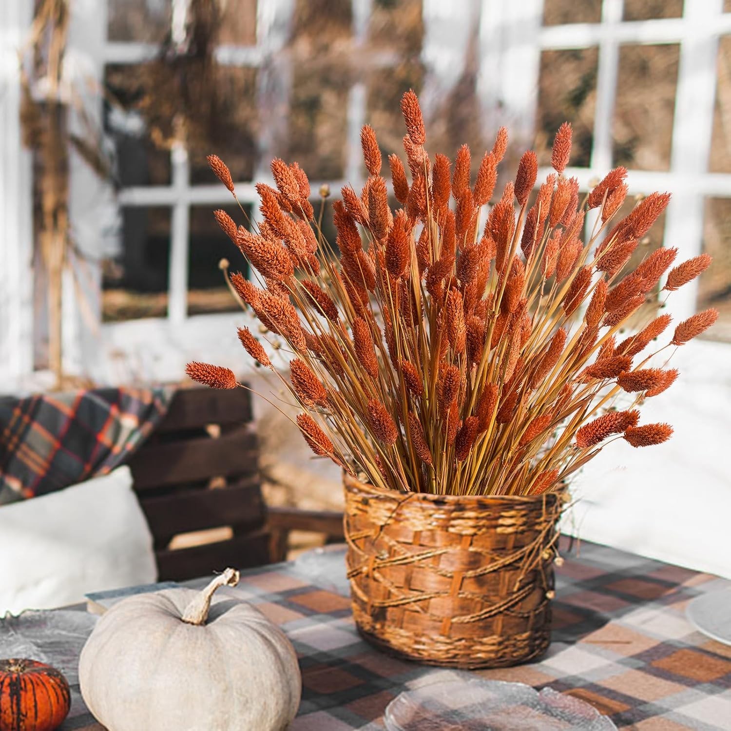 120Pcs Orange Pampas Grass Bunny Tails Dried Flowers, 17″ Dried Fall Flowers …