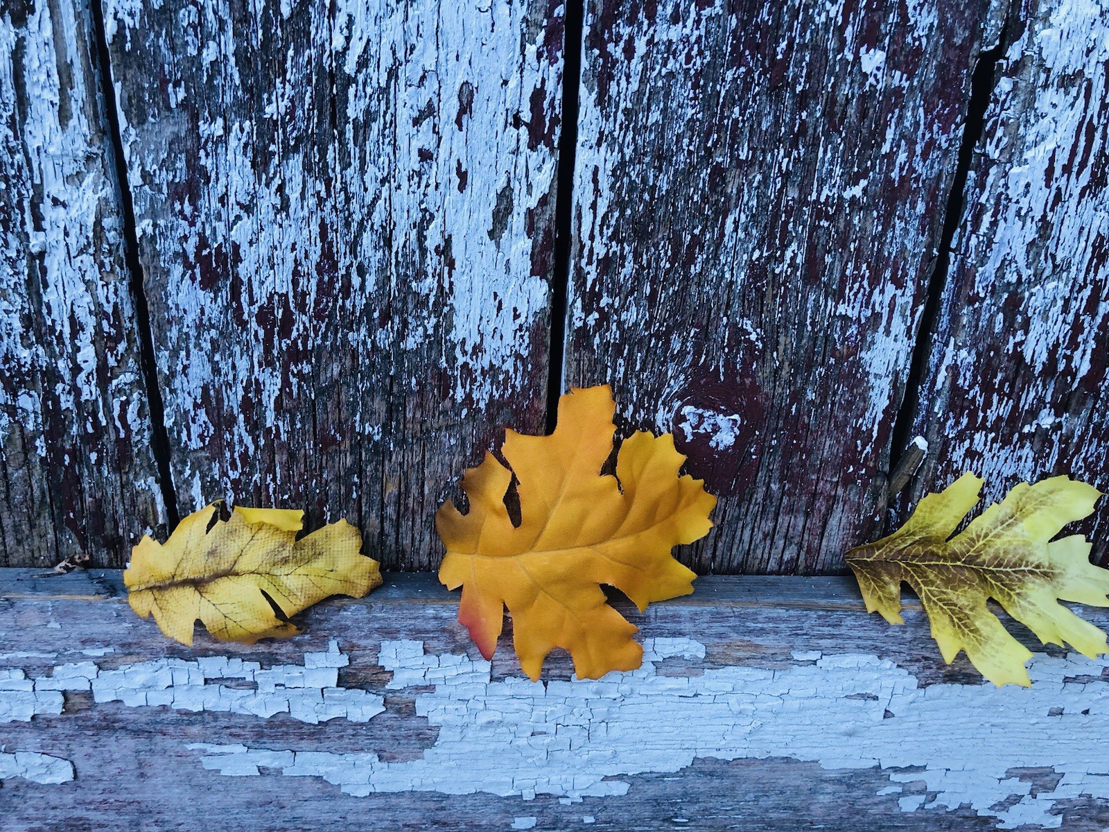 36 Sunny Ridge Oak Fall Leaves Autumn Artificial LOOSE in A BAG Wedding Decor