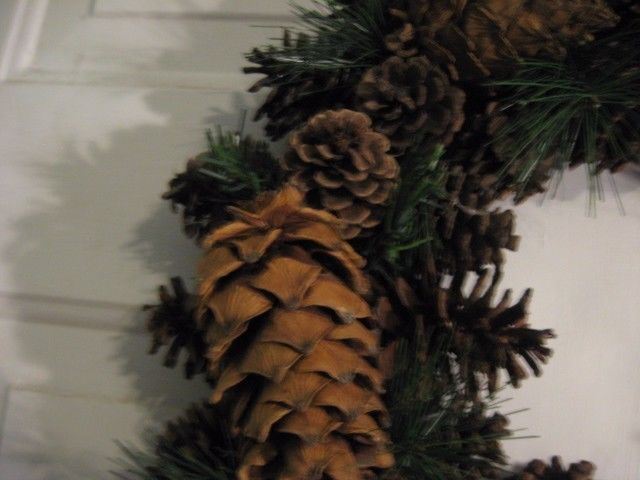 Large 18″ Pine Cone Vine Twig Wreath Floral Decor Winter Christmas Autumn