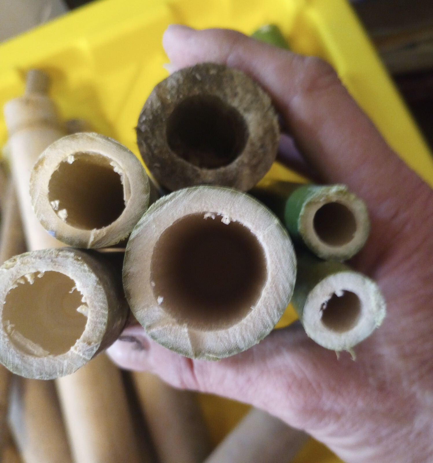 10 Bamboo Poles 12″ Long Variety Sizes Tiki Home Art Decor Bathroom Bedroom 1′
