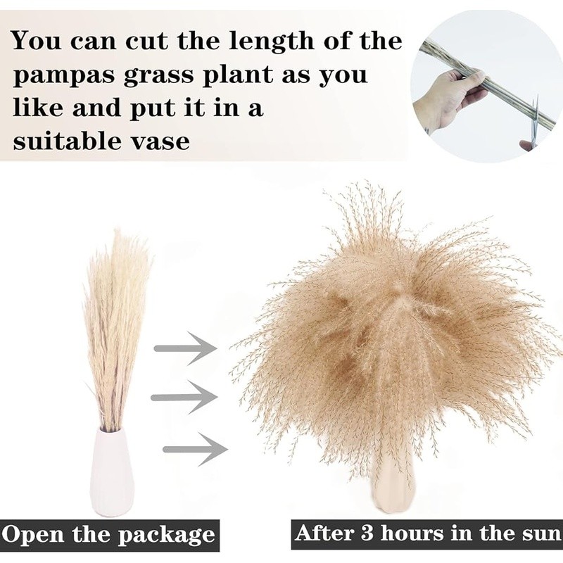 Natural Dried Pampas Grass Bouquet 100 Pieces Decor Home Wedding Events New