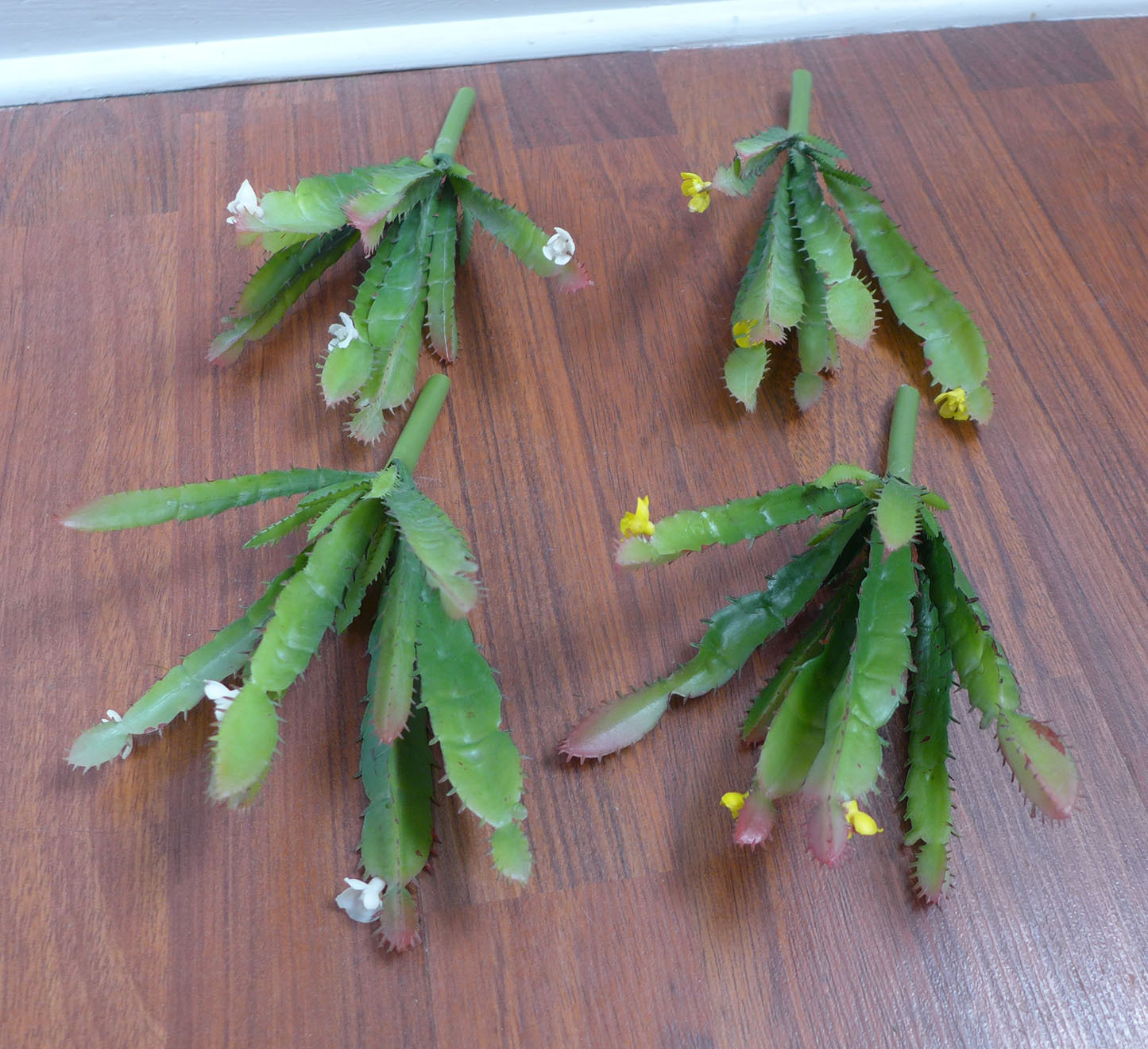 4 Artificial Plastic Grasses White And Yellow Blooming Cactus Succulents Plants