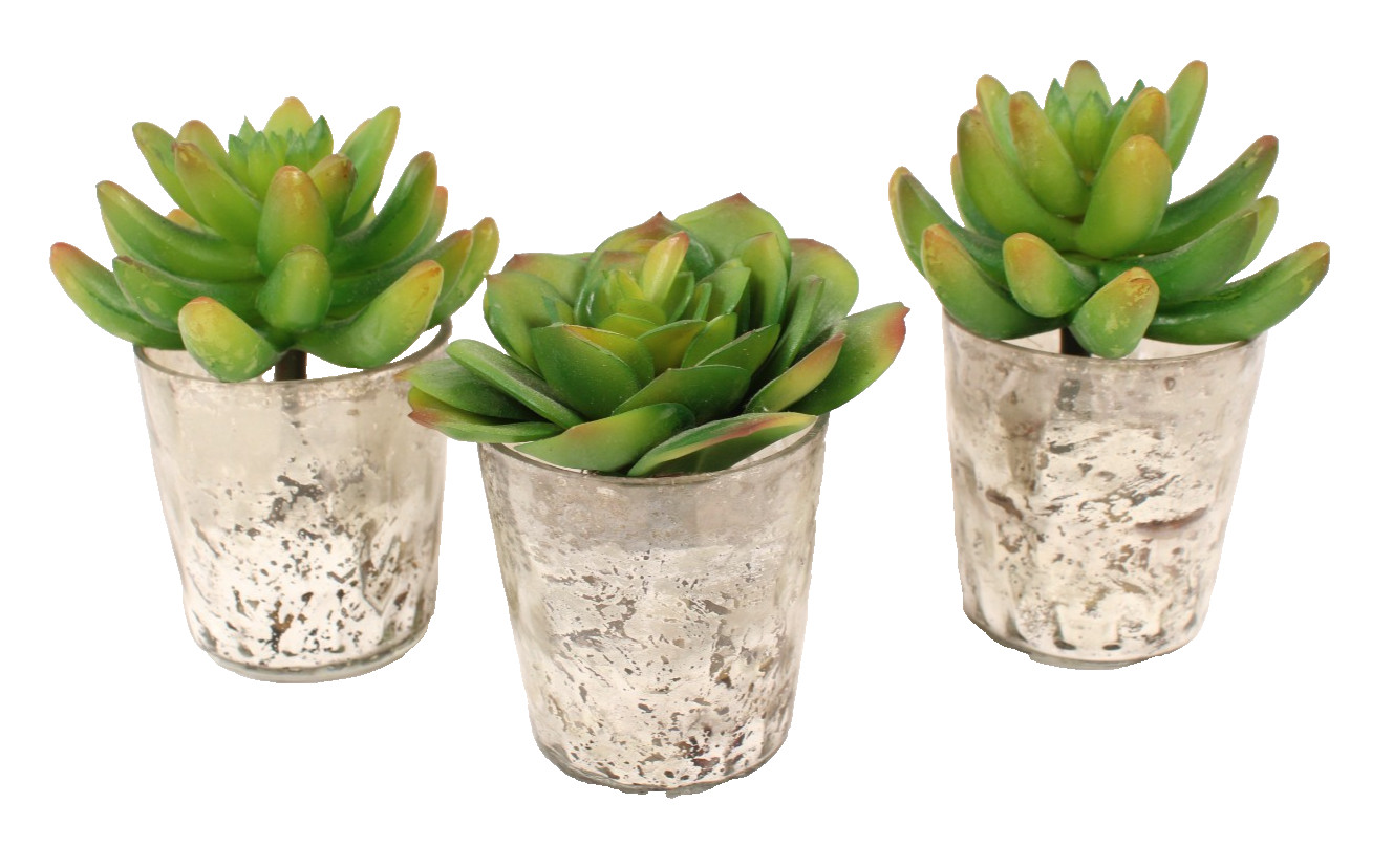 Set Of 3 Garden Faux Succulents Small Mirrored Glass Pot Artificial Plant Decor