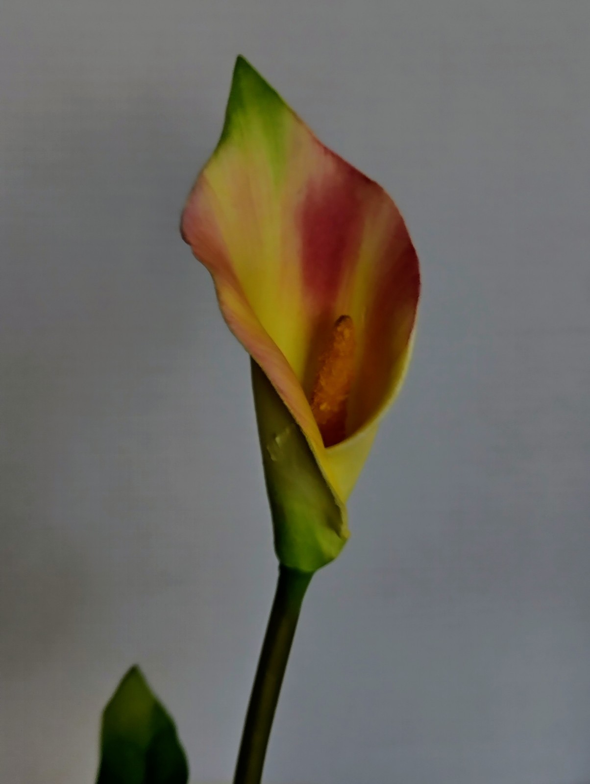 VINTAGE Calla Lily Bush