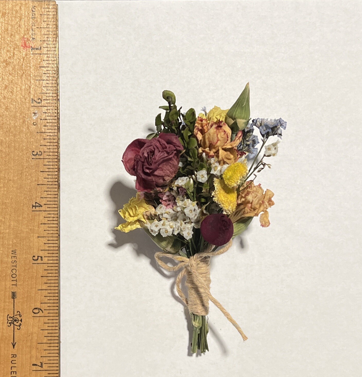 Natural Dried ROSES Flowers Floral Home Decor Crafting