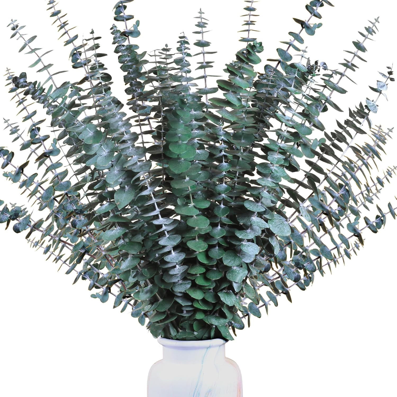 30Pcs Dried Eucalyptus Stems, 17″ Real Preserved Eucalyptus Plant for Shower,…