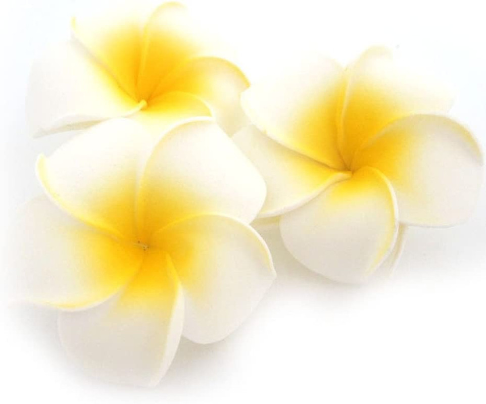 100Pcs White Foam Hawaiian Frangipani Artificial Plumeria Flower Petals Cap Hair
