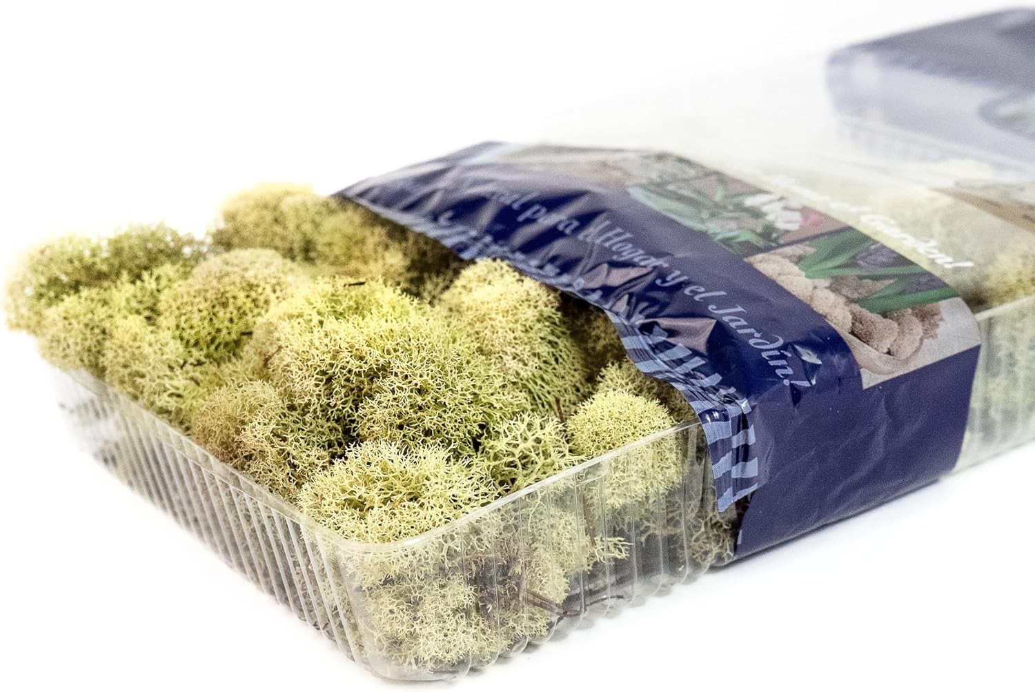 Super Moss 25116 Reindeer Preserved Green 2oz