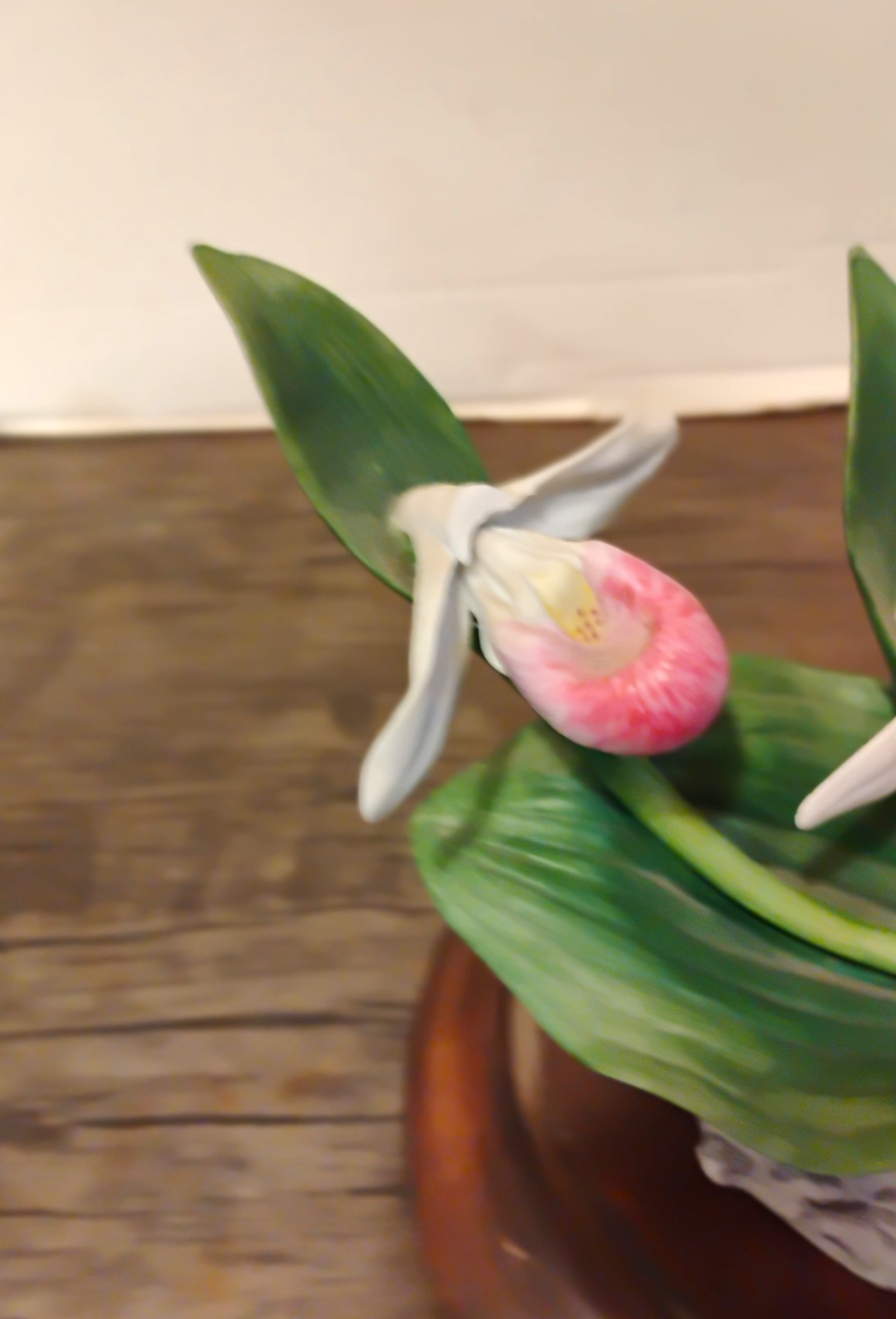 Bisque ‘Lady Slipper’ Cluster Celebrating Bachman’s Floral 100th Anniversary