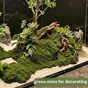 Fake Moss for Plants Indoor, 7OZ Dual-Color Artificial Moss for Crafts,