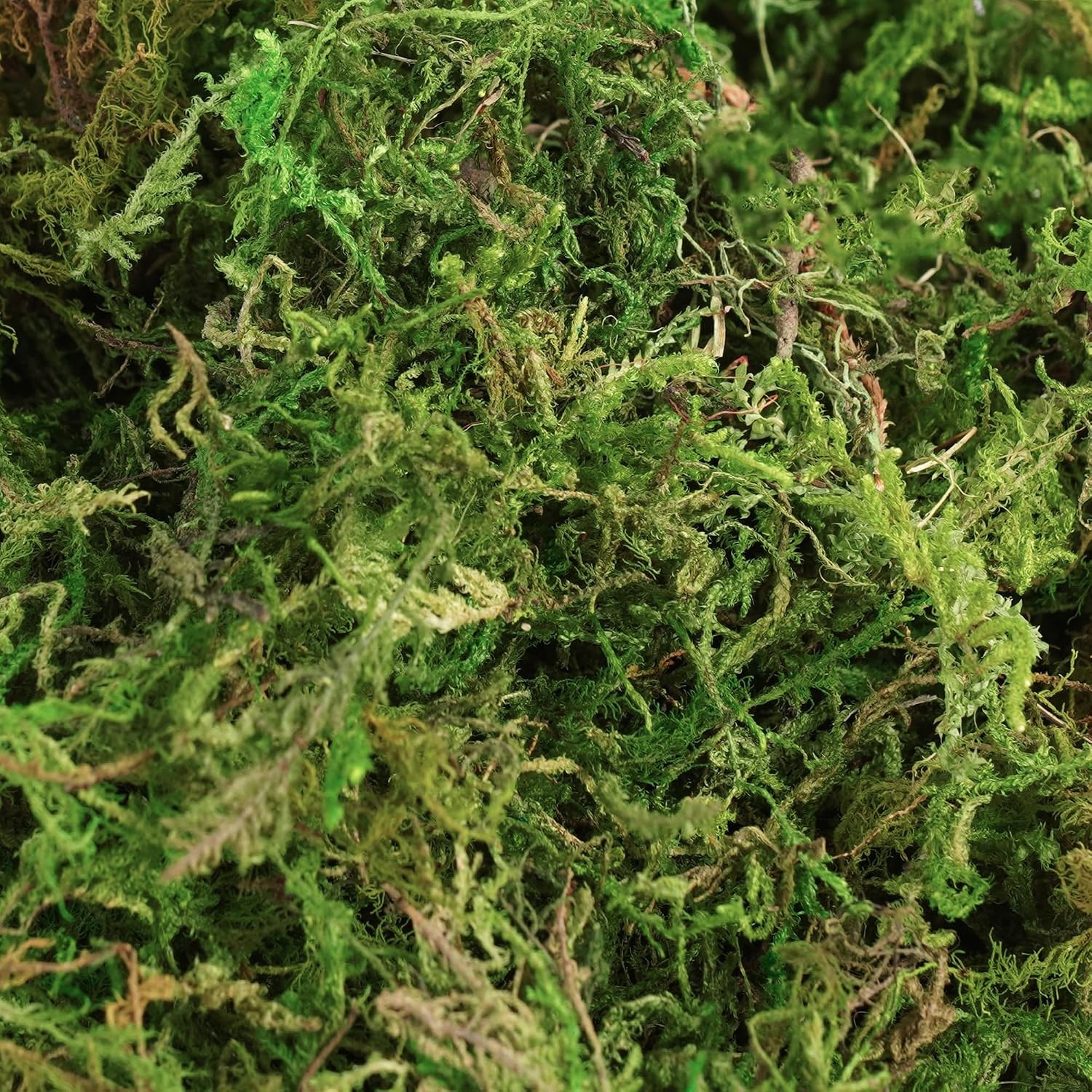 BYHER Fake Moss 4OZ – Moss for Crafts and Indoor Plants, Realistic Artificial