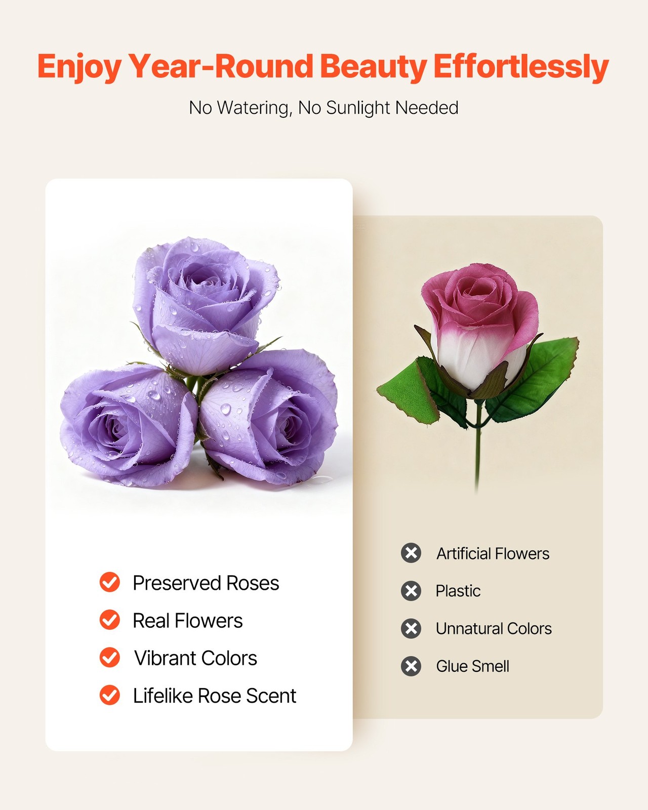 50 Preserved Violet Roses in Box – Eternal Flowers Gift for Her