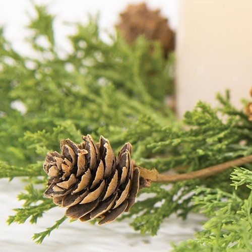 NEW PRIMITIVE WESTERN CEDAR Candle Ring Pine Cones Christmas 3.5″ Open x 10-12″W