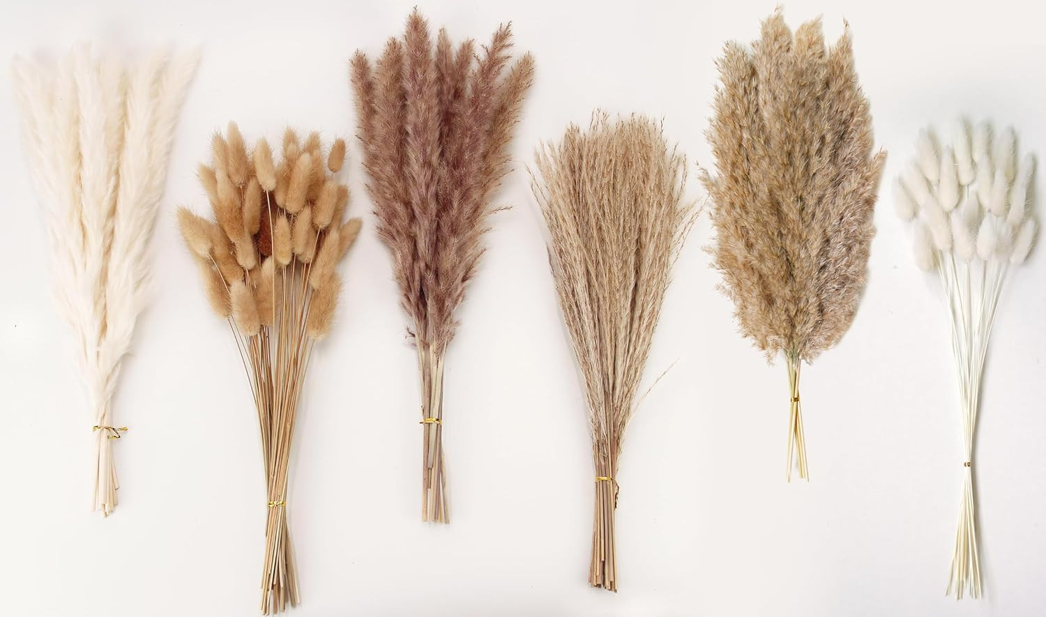 Dried Pampas Grass Decor, 120 PCS Pampas Grass with Bunny Tails Dried Flowers, R