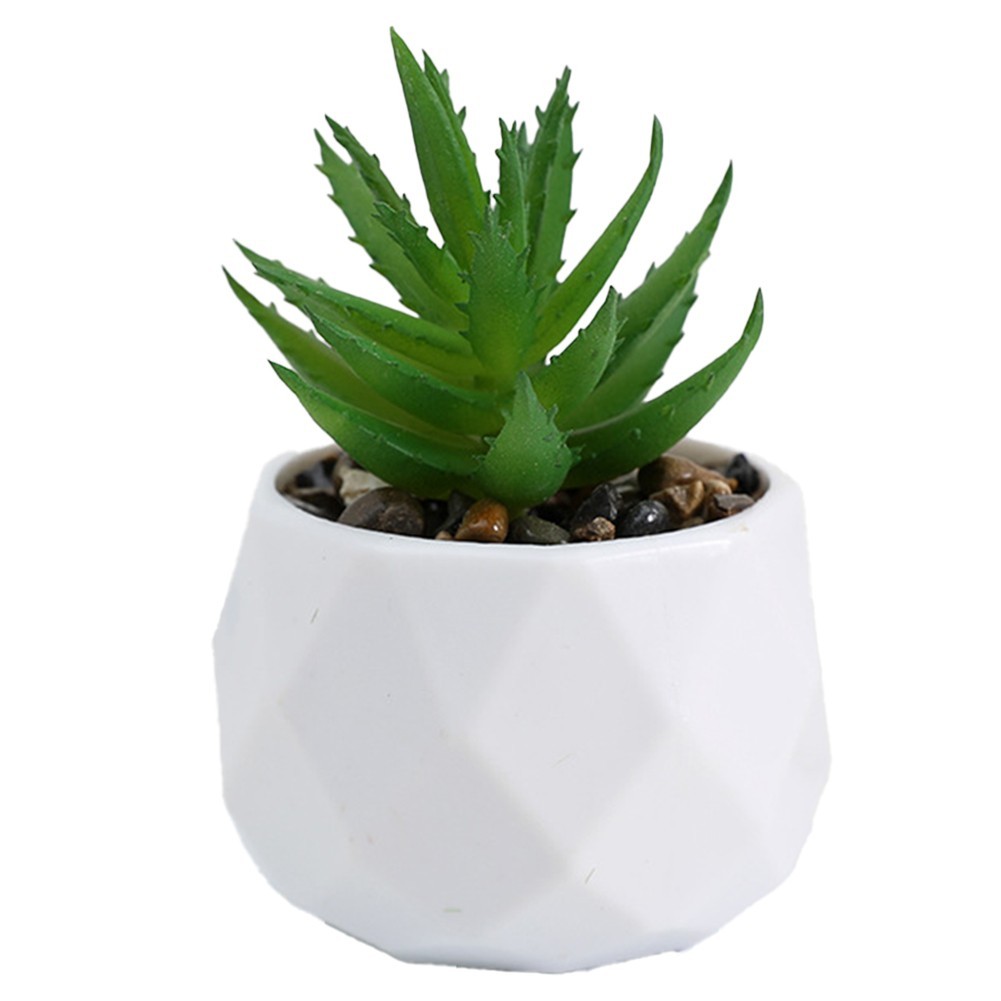 3pcs Elegant Artificial Succulent Plants for For home and Office Display