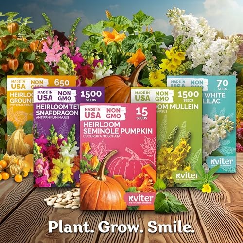 800 Mix Bachelor Button Seeds (Centaurea cyanus) – Cornflower Seed Mix,