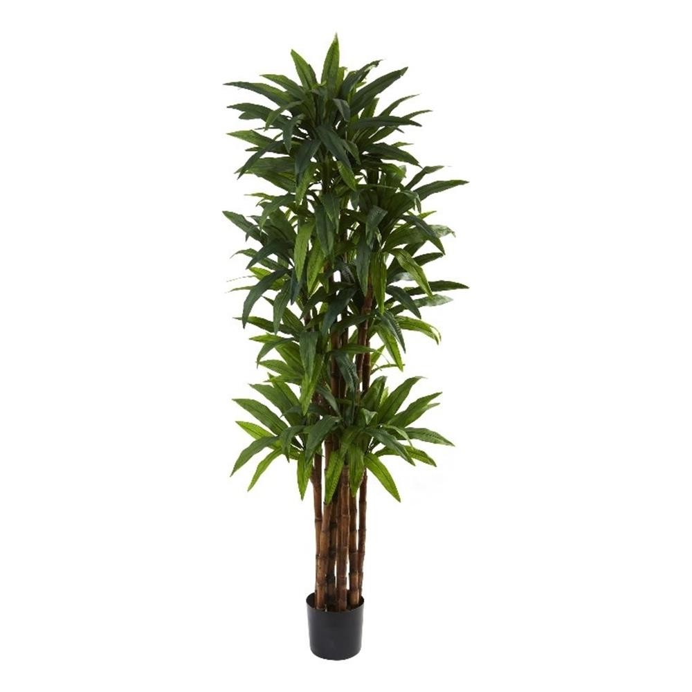 Nearly Natural 78″ Dracaena Tree with 8-Trunks & Over 200 Leaves in Green/Black