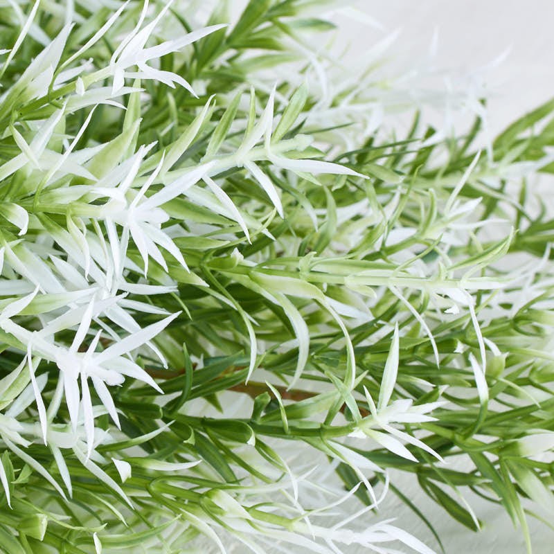 Pack of 2 White and Green Artificial Springeri Grass 31″ Sprays