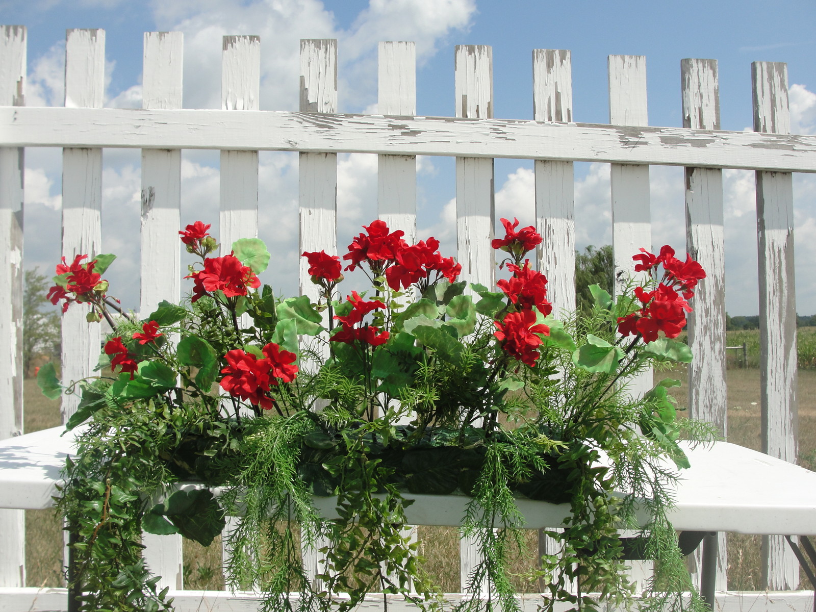 Mothers Day Outdoor Window Box Silk Red Geranium Arrangement Flower fits 24″ Box