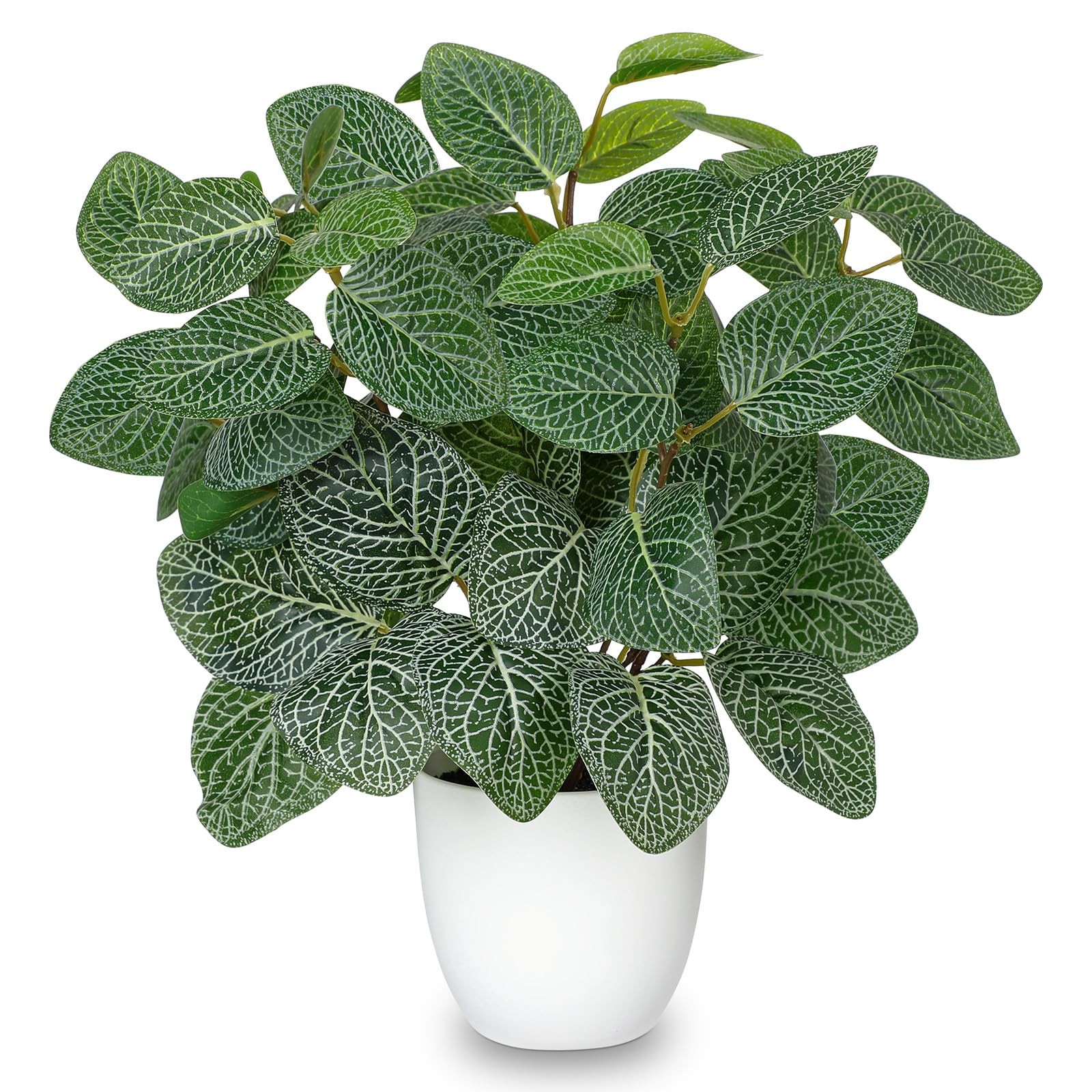 Artificial Fittonia Plants in White Pot – 15.7″ Fake Nerve Plant Indoor Silk …