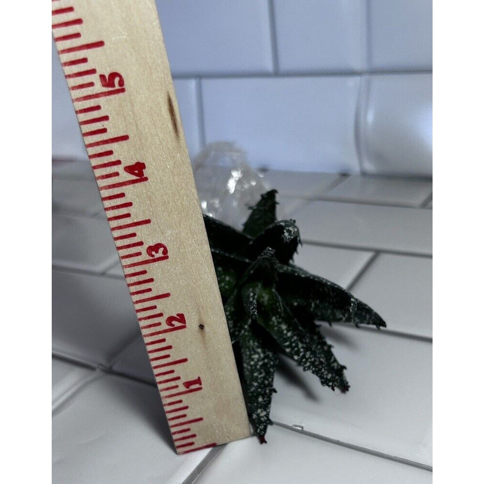 6 Various Artificial Succulents Faux Succulent Plants Home Garden Decor