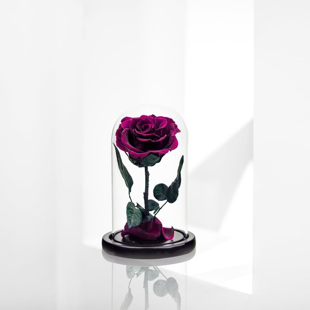 Luxury Preserved Roses in Glass Dome – Perfect for Anniversary and Mother’s Day