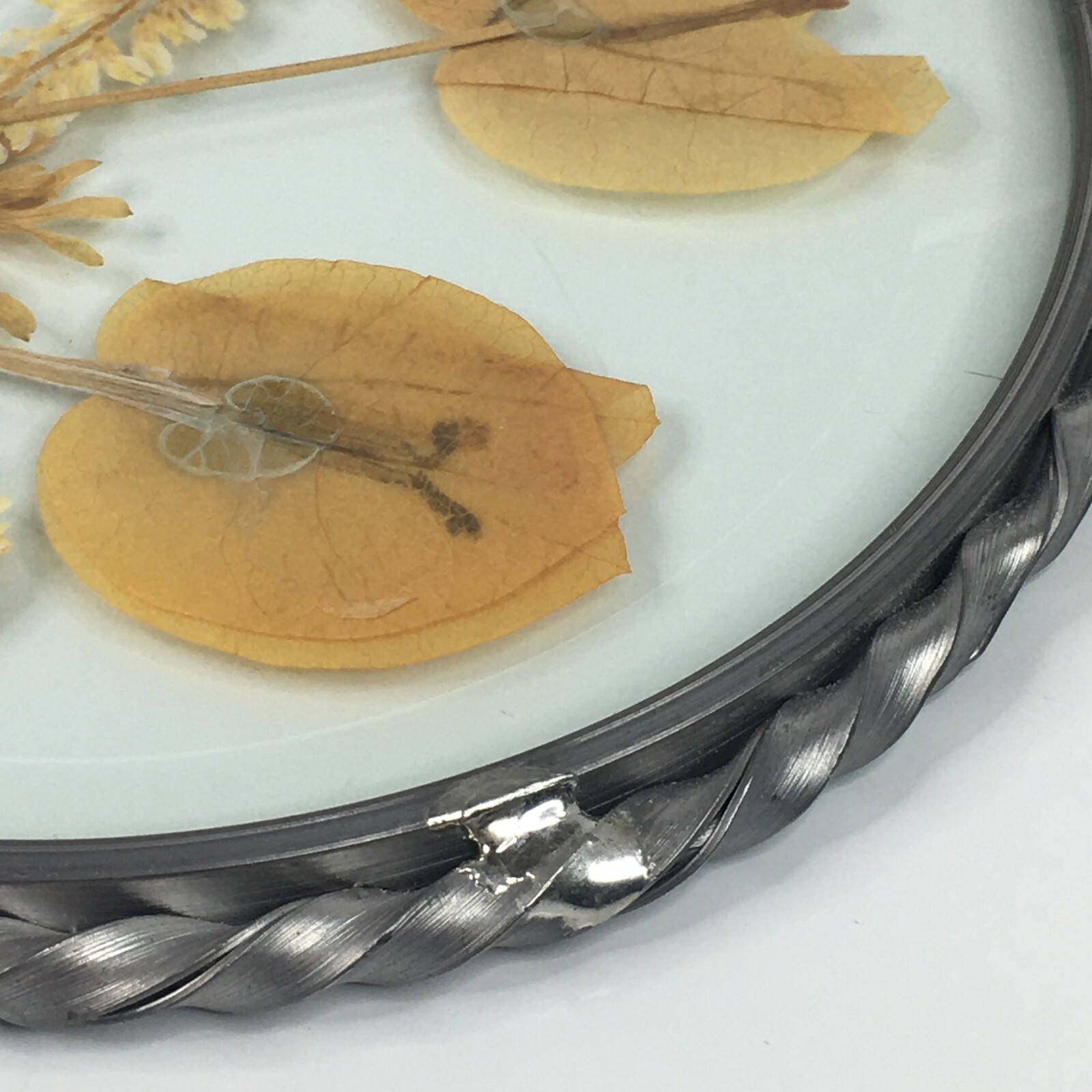 Lasting Impressions Real Flowers Glass Wall Hanging Pressed Flowers USA Floral