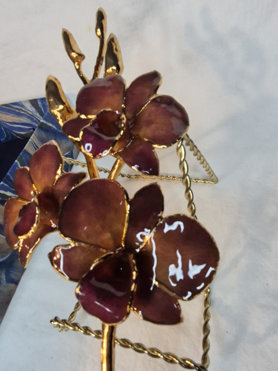 The Rose Lady 24Kt Gold Dipped Long Stem REAL Dendrobium Orchid NIB