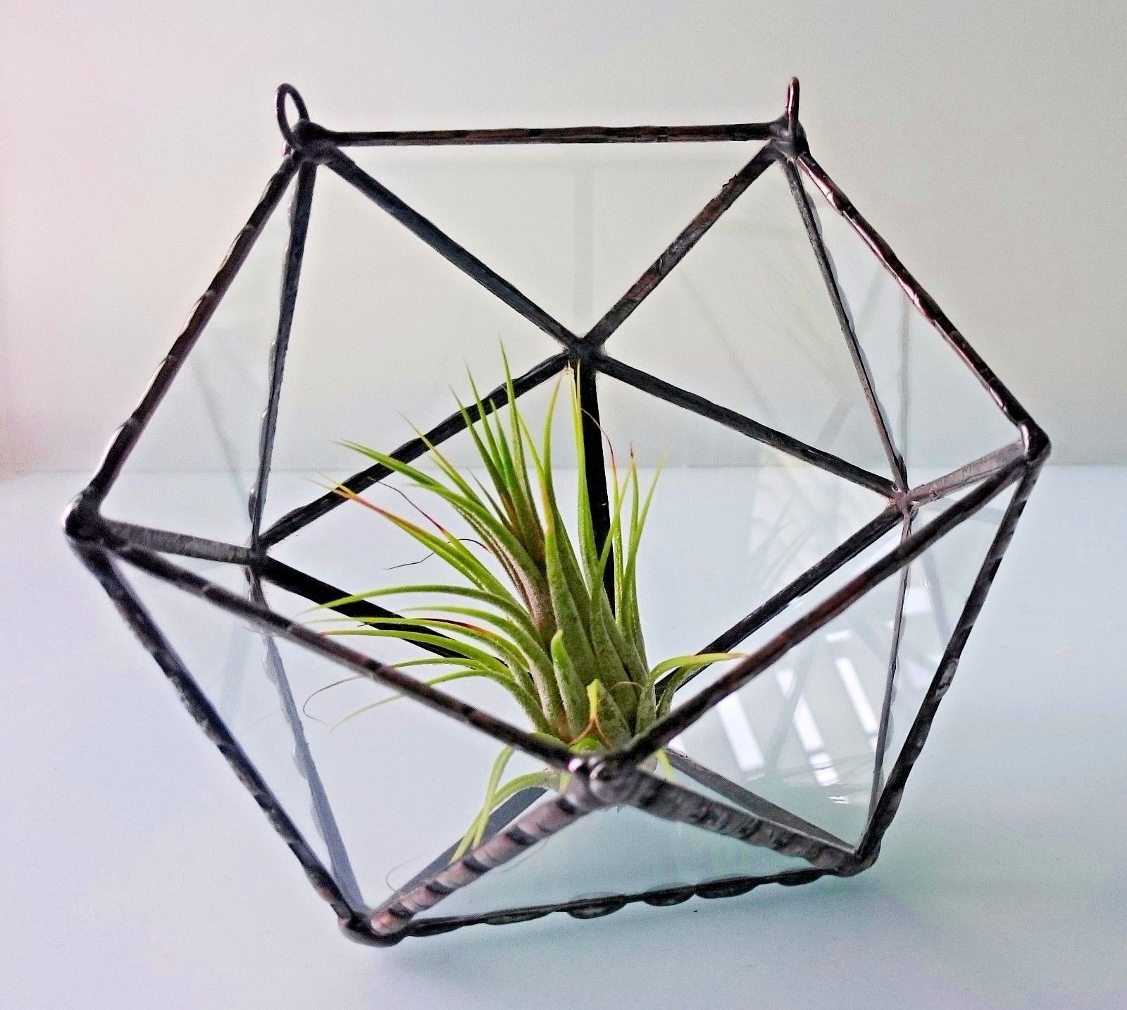 Stained Glass Terrarium Wall Hanging Black Frame Transparent, Planter For Indoor