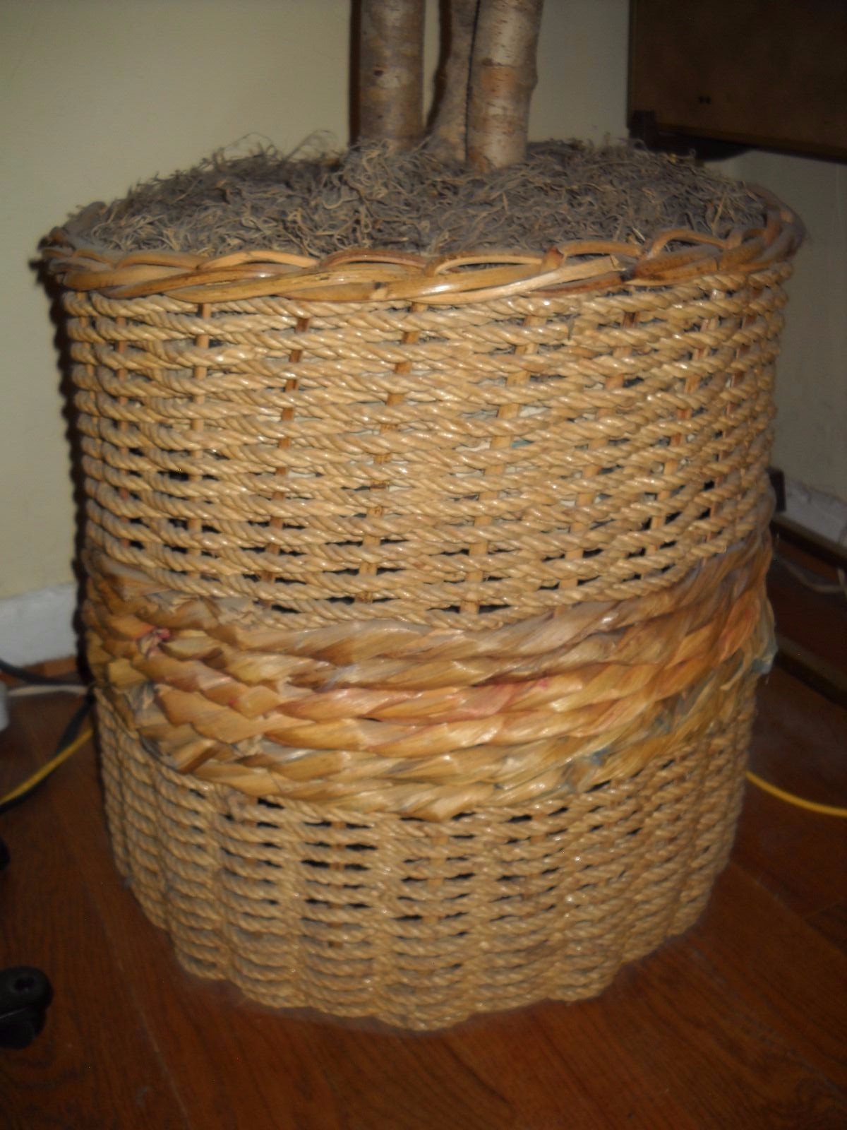 Silk mango tree with beautiful rattan basket and Spanish moss.