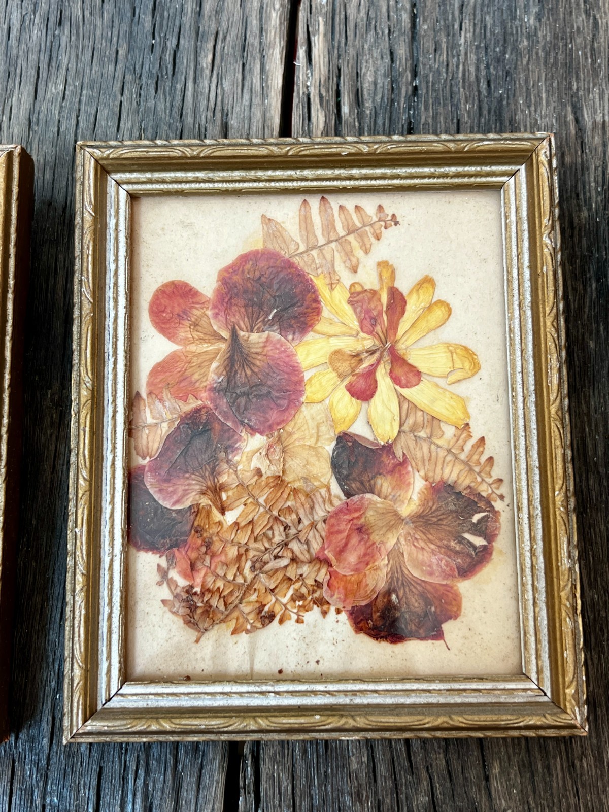 Vintage Dried Flower Artwork Set – Gold Wood Frame Wall Art (5 3/4″)