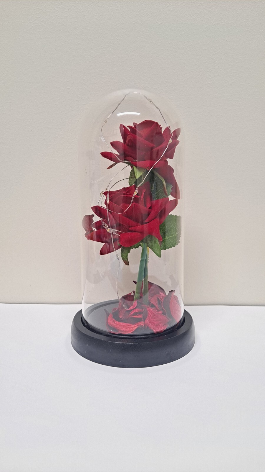 Preserved Eternal Rose Dome with LED lights Birthday Valentines Day Gif