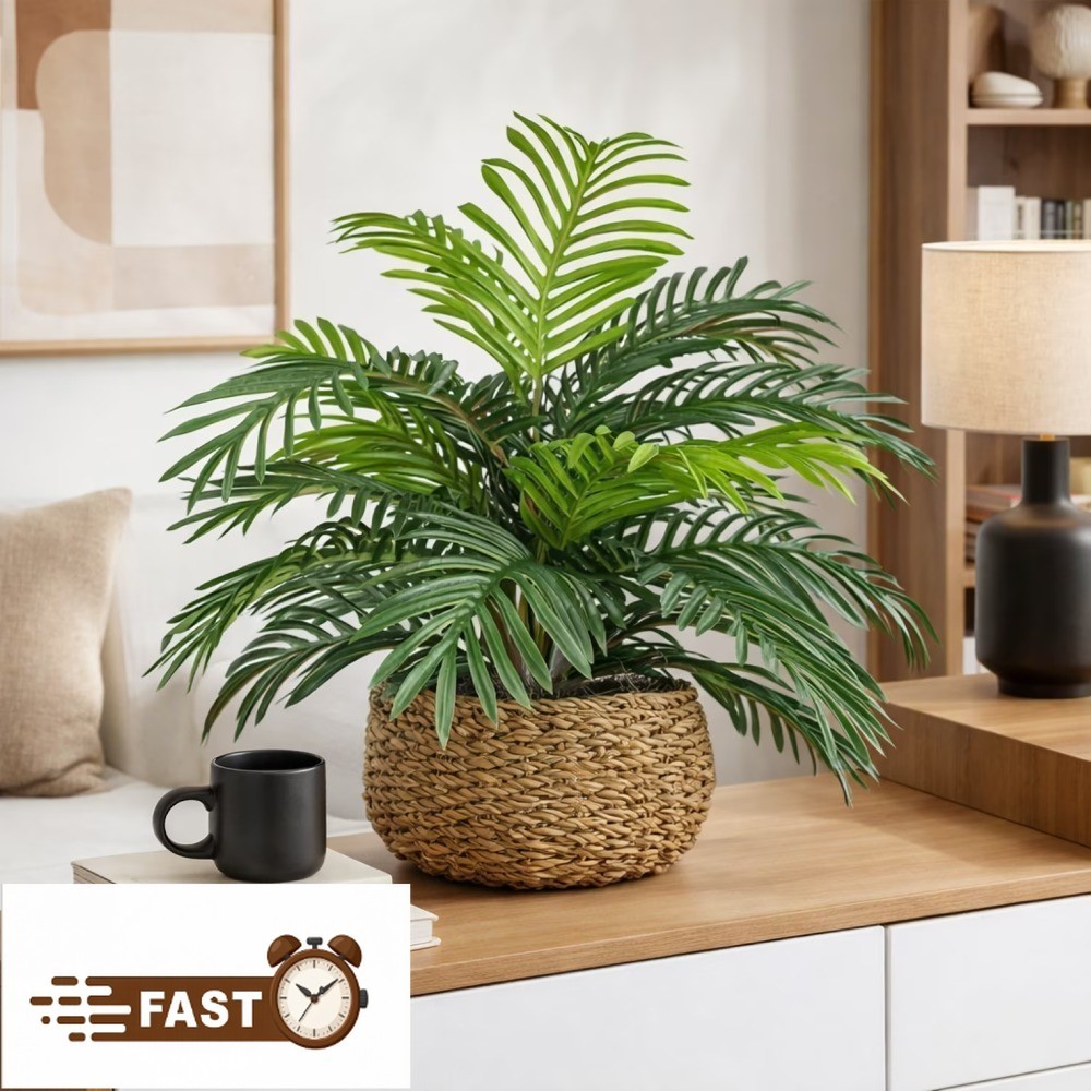 14″ Artificial Palm Plant in Low Round Handwoven Basket by LCG Florals